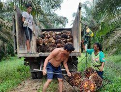 Campuri Urusan Petani dan Koperasi, Kejati Riau Offside, Jaksa Agung Didesak Tegur Bawahan-nya