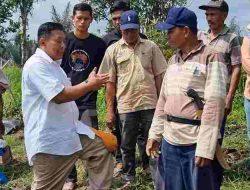 Hari Pangan Sedunia 2023 Fokus pada Lingkungan dan Pertanian, Agrokonservasi Guna Meningkatkan Hasil Pertanian dengan Pelestarian Lingkungan Dampak Perubahan Iklim