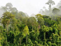 Terbukti Bermanfaat Pendampingan Walhi Pada Masyarakat