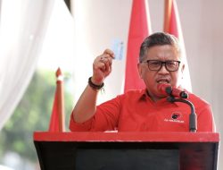 Prabowo Inisiatif Impor Sapi, Sekjen PDIP: Gama Lebih Proketahanan Pangan