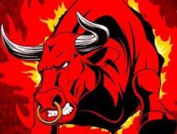 Hak Angket Dugaan Kecurangan Pemilu “BANTENG KETATON”. Siapakah Yang Bakal Terjungkal?