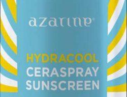 5 Tips Mudik Lebaran Bersama Azarine Cosmetics