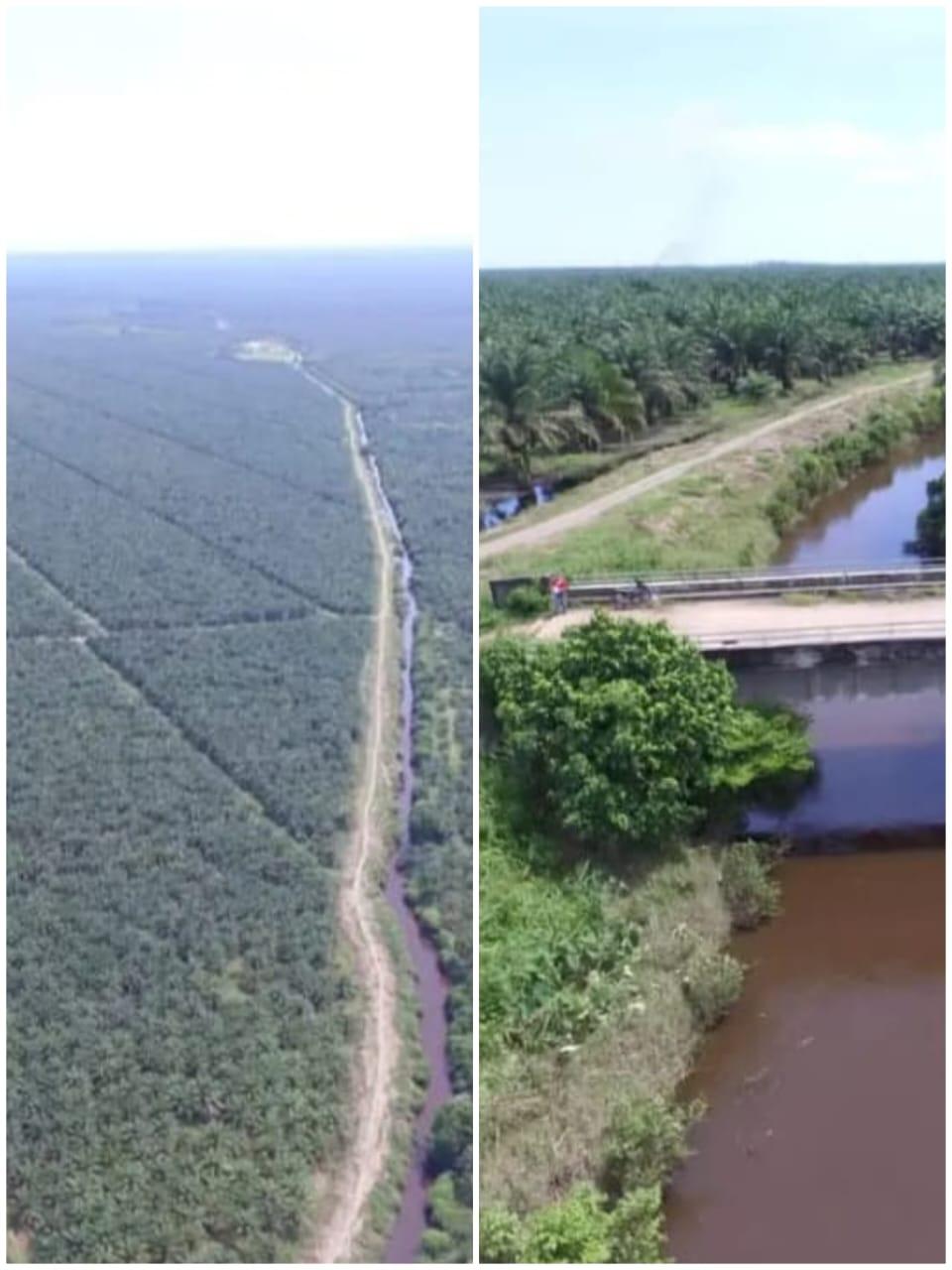 Ribuan Hetar Lahan Perkebunan Sawit Masyarakat Diduga Diserobot PT. Sukses Jaya Wood ,HGU 08 PT.SJW Dinilai Cacat Hukum masyarakat kecamatan Silaut Tuntut Keadilan.