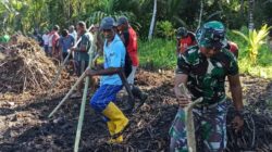 Satgas TMMD ke-126 Kodim 1505/Tidore Bersama Masyarakat Tanam Jagung di Lahan Ketahanan Pangan