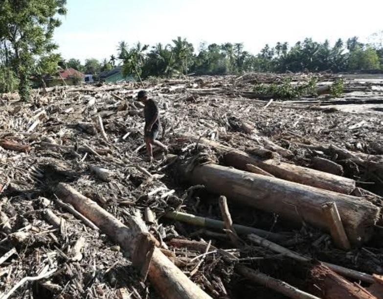 Haidar Alwi Apresiasi Presisi Kapolri Usut Jejak Kayu Gelondongan Banjir Sumatera