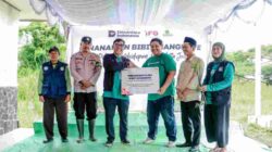 Mencegah Abrasi, Indonesia Financial Group Bersama Indonesia Hijau Tanam 5.000 Bibit Mangrove
