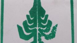 MAI Tegaskan Kriminalisasi Raja Moronene VIII Berbahaya Bagi Konstitusi, Dorong Penguatan Perwakilan Adat dalam Sistem Ketatanegaraan NKRI